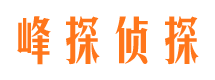 阳城商务调查